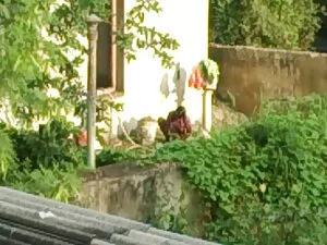 थोड़ा सेक्सी मूवी वी ...