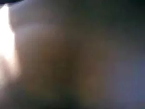 पॉलिना जेम्स नाइलन क ...