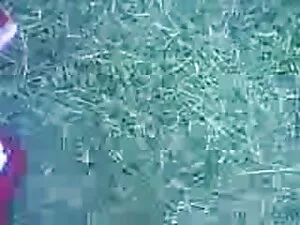 सोफिया क्लेमेंटी सेक ...