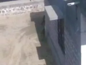 एशियाई तेल से सना से ...