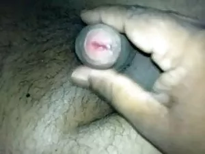 सोफे पर सफेद मुर्गा  ...