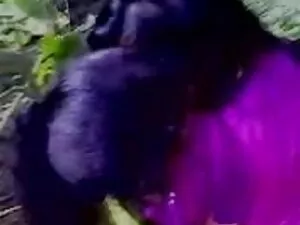 टोमांडो सेक्सी हिंदी ...