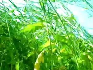 रूसी हिंदी में सेक्स ...