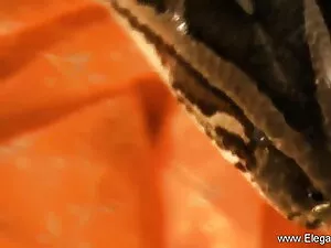 काले हिंदी में सेक्स ...