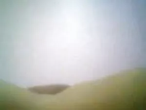 फर कोट और कोई हिंदी  ...