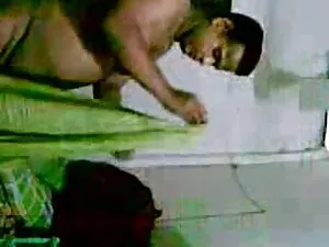 फ्रेंच किशोर बिल्ली  ...